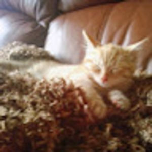 Meet your Posher, Clémence